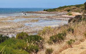 Foul Bay Boat Ramp